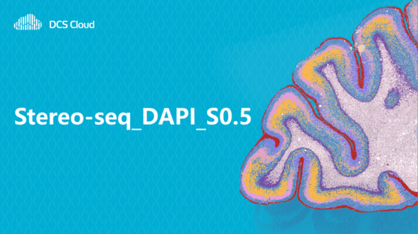 Stereo-seq_DAPI_S0.5