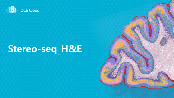 Stereo-seq_H&E